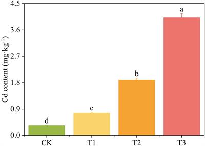 Phyllosphere bacterial community and metabolomic analysis revealed the mechanism of Cd tolerance in the bryophyte Tortella tortuosa (Hedw.) Limpr